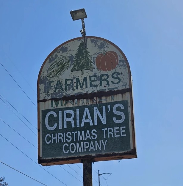 From Farmer’s Drive-in Market to Cirian’s Christmas Tree&nbsp;Company