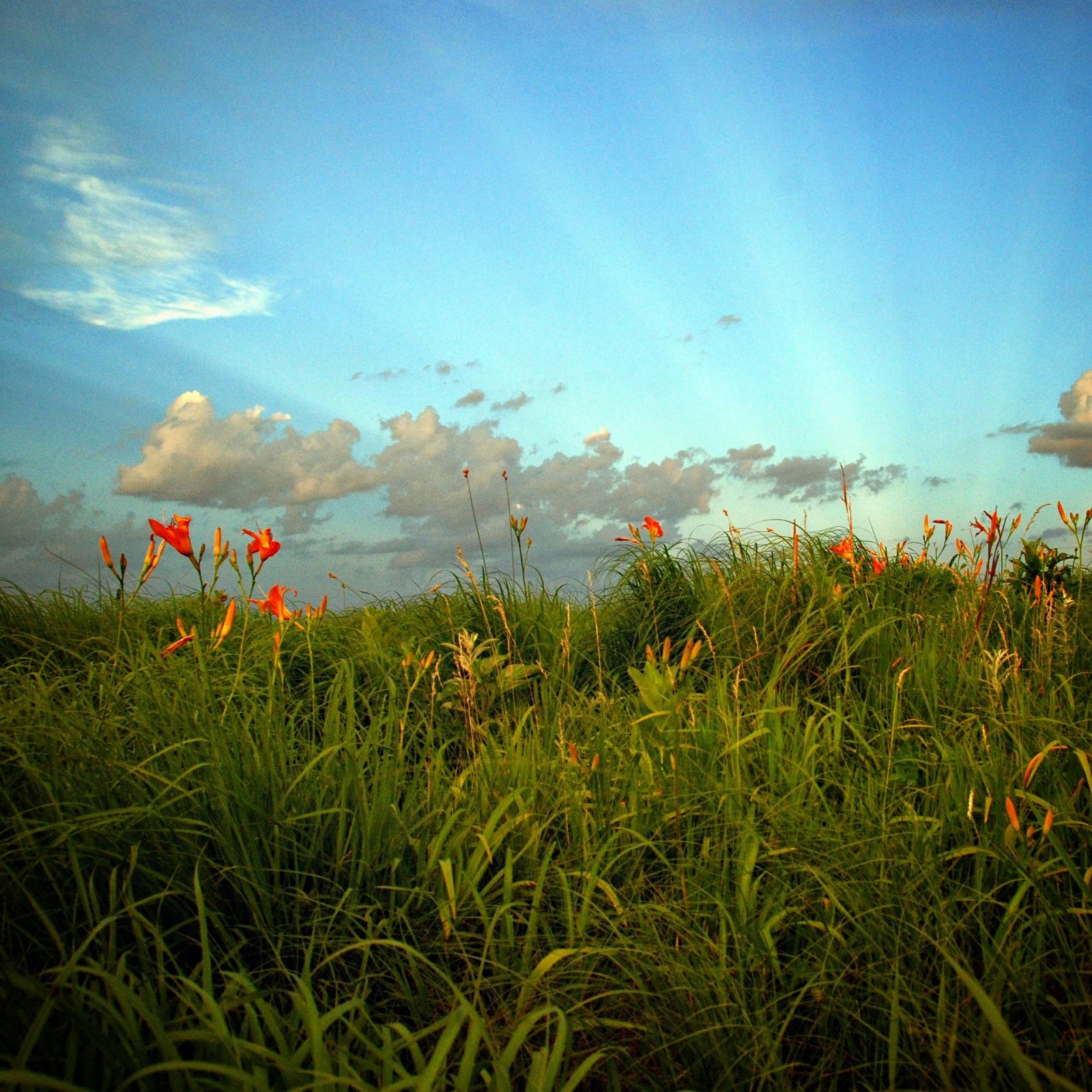Bennington’s Glacier Creek Preserve