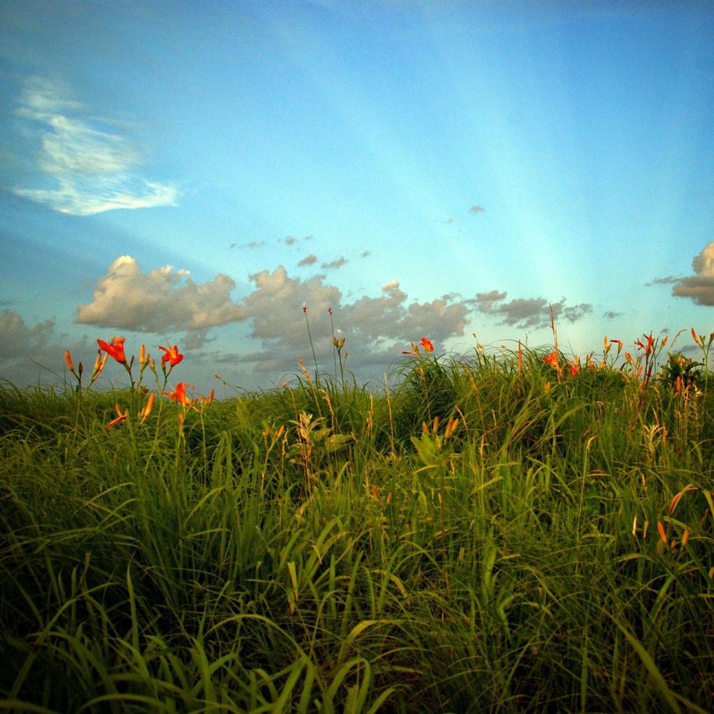Glacier Creek Preserve