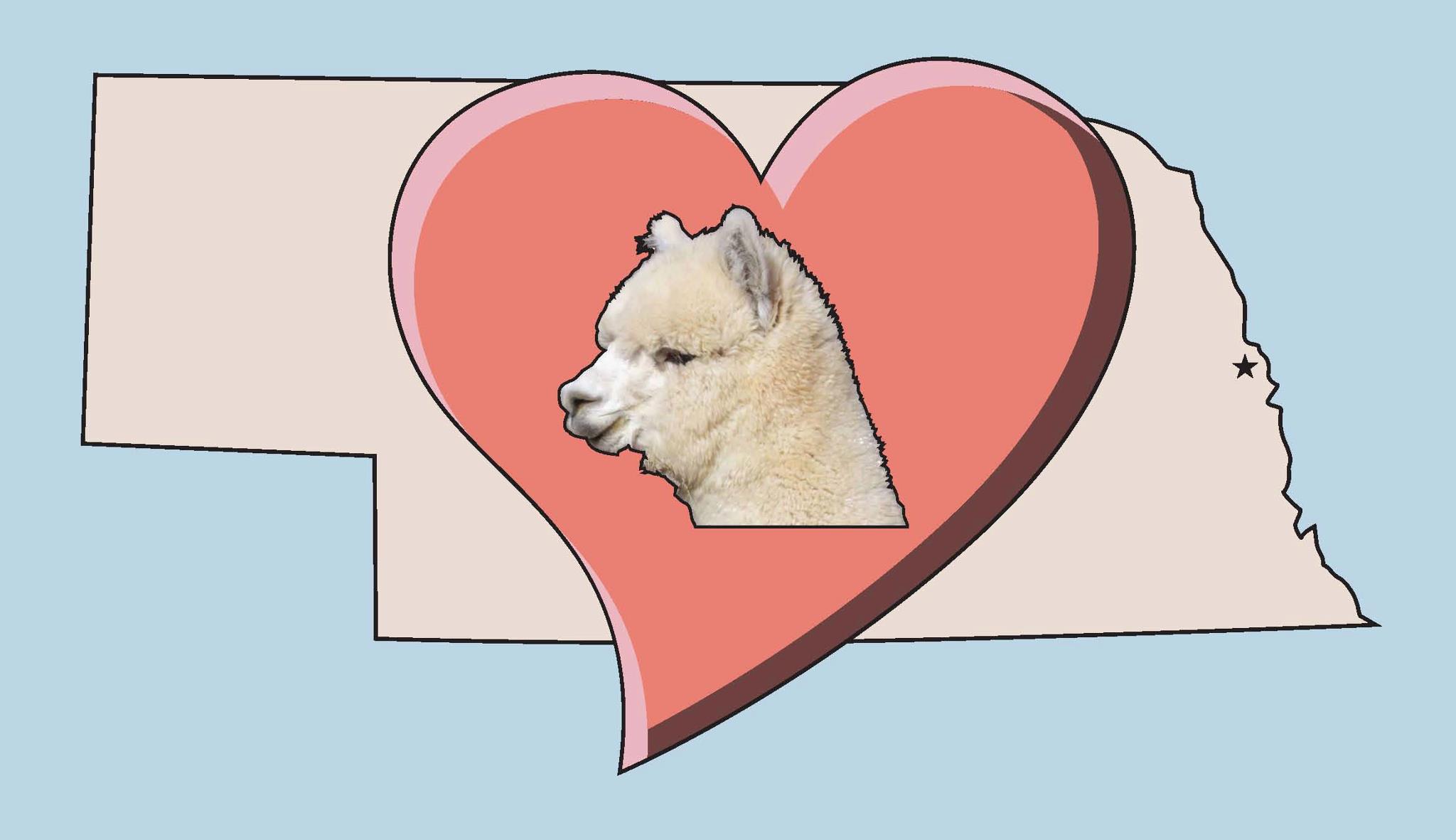 Alpacas of the Heartland in Fort Calhoun