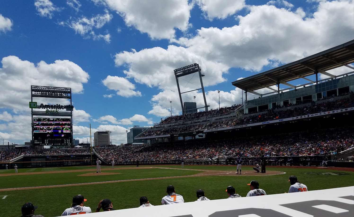 The College World Series in Omaha