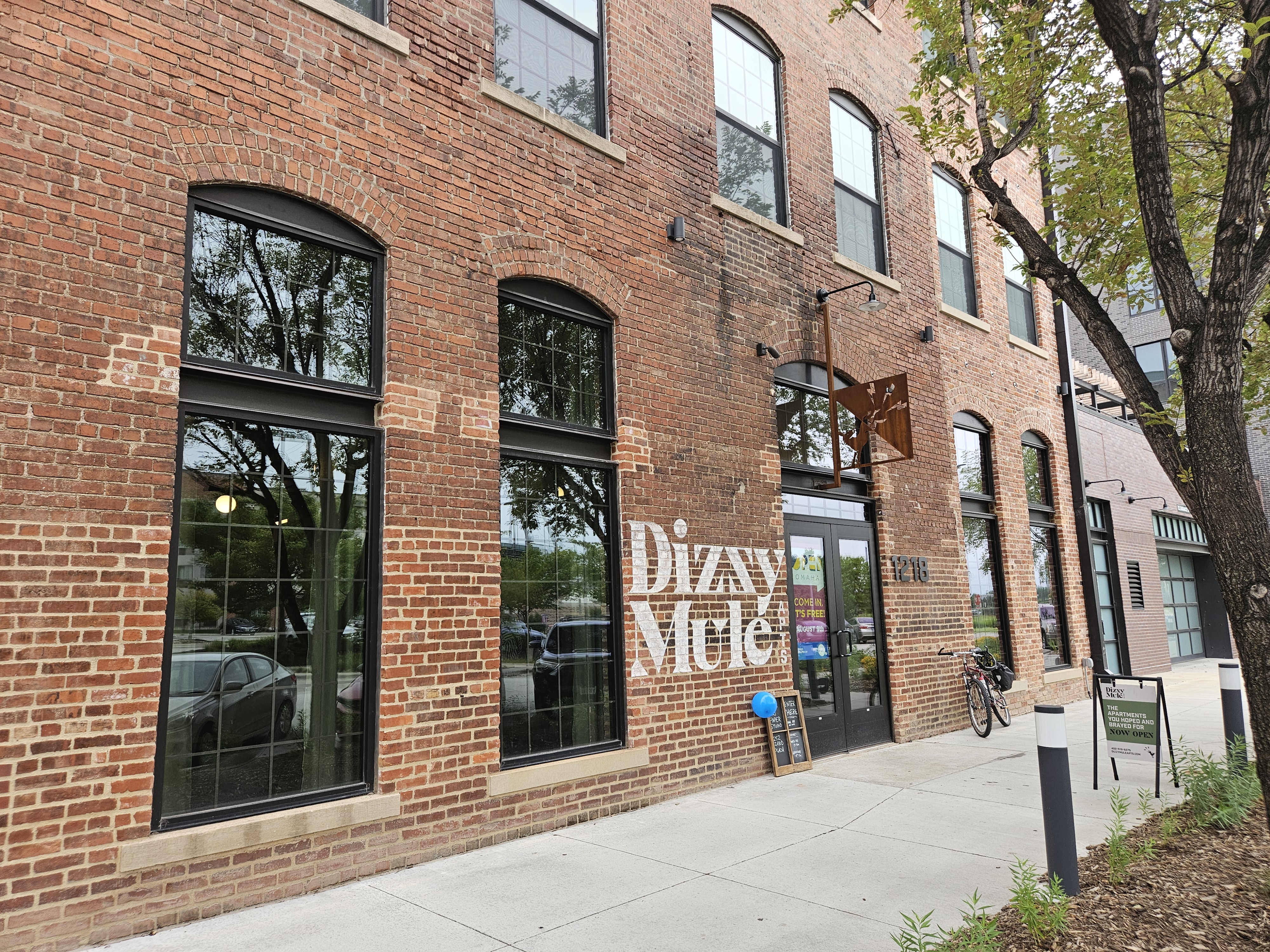 Inside Dizzy Mule in North Downtown