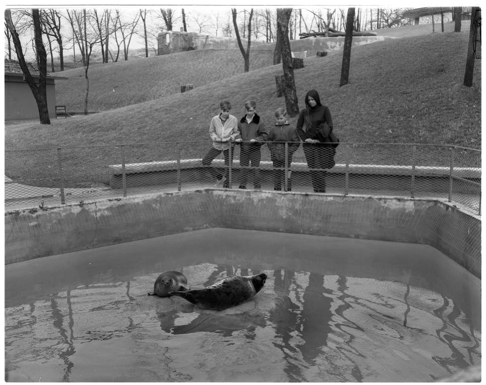 Omaha's Henry Doorly Zoo and Aquarium – Omaha Exploration