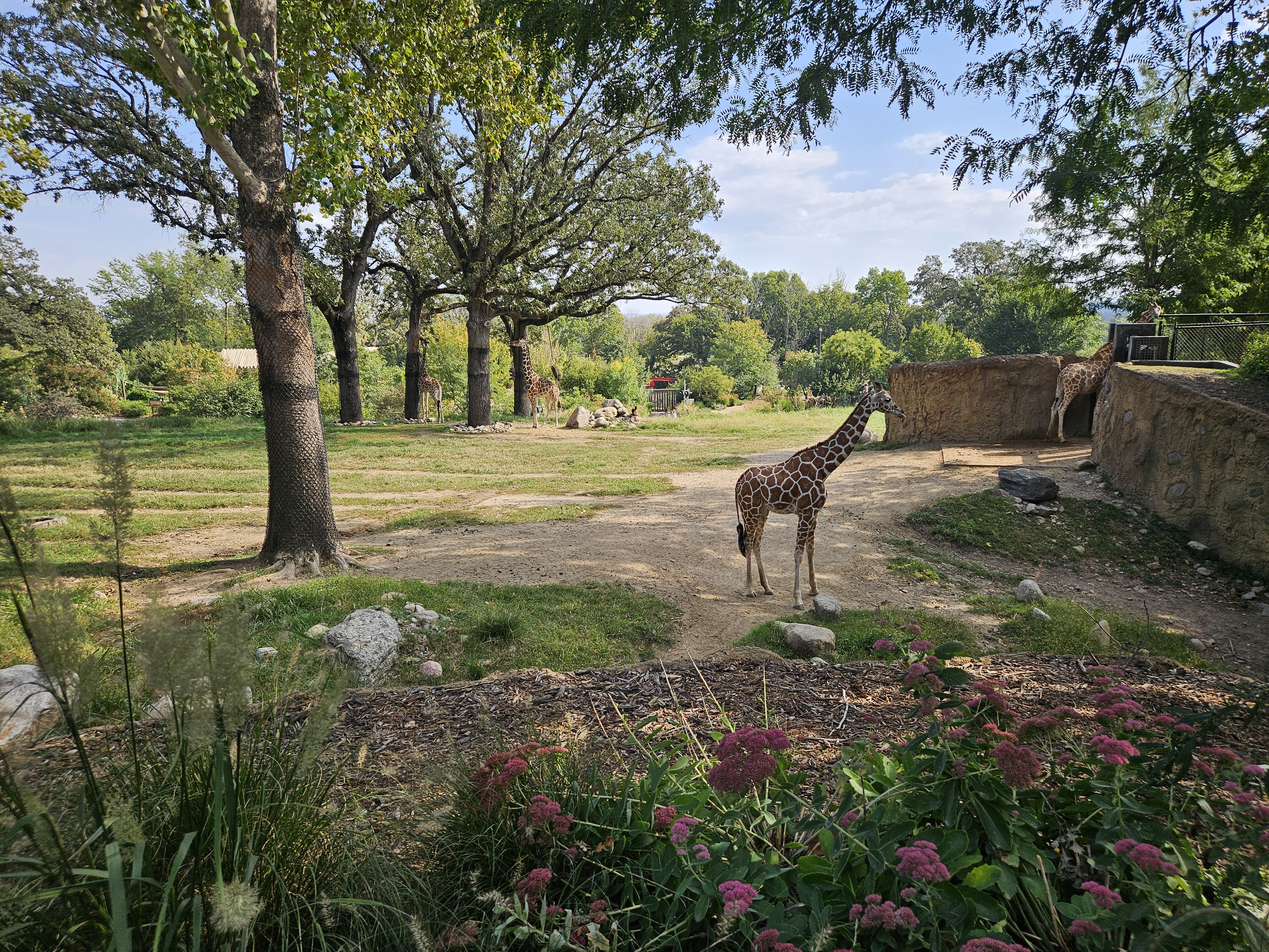 Henry Doorly Zoo Clear Bag Policy
