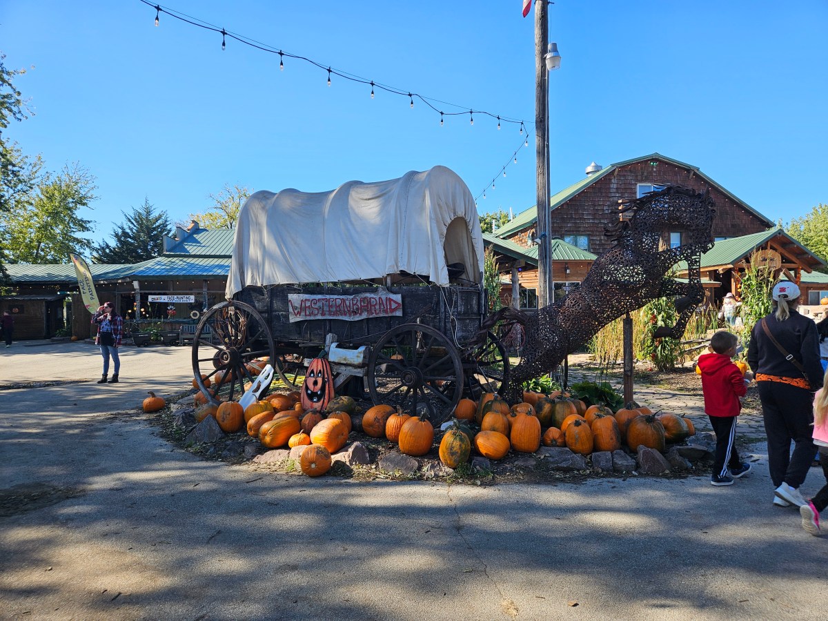 The Schaefer Family’s Bellevue Berry Farm and Pumpkin&nbsp;Ranch