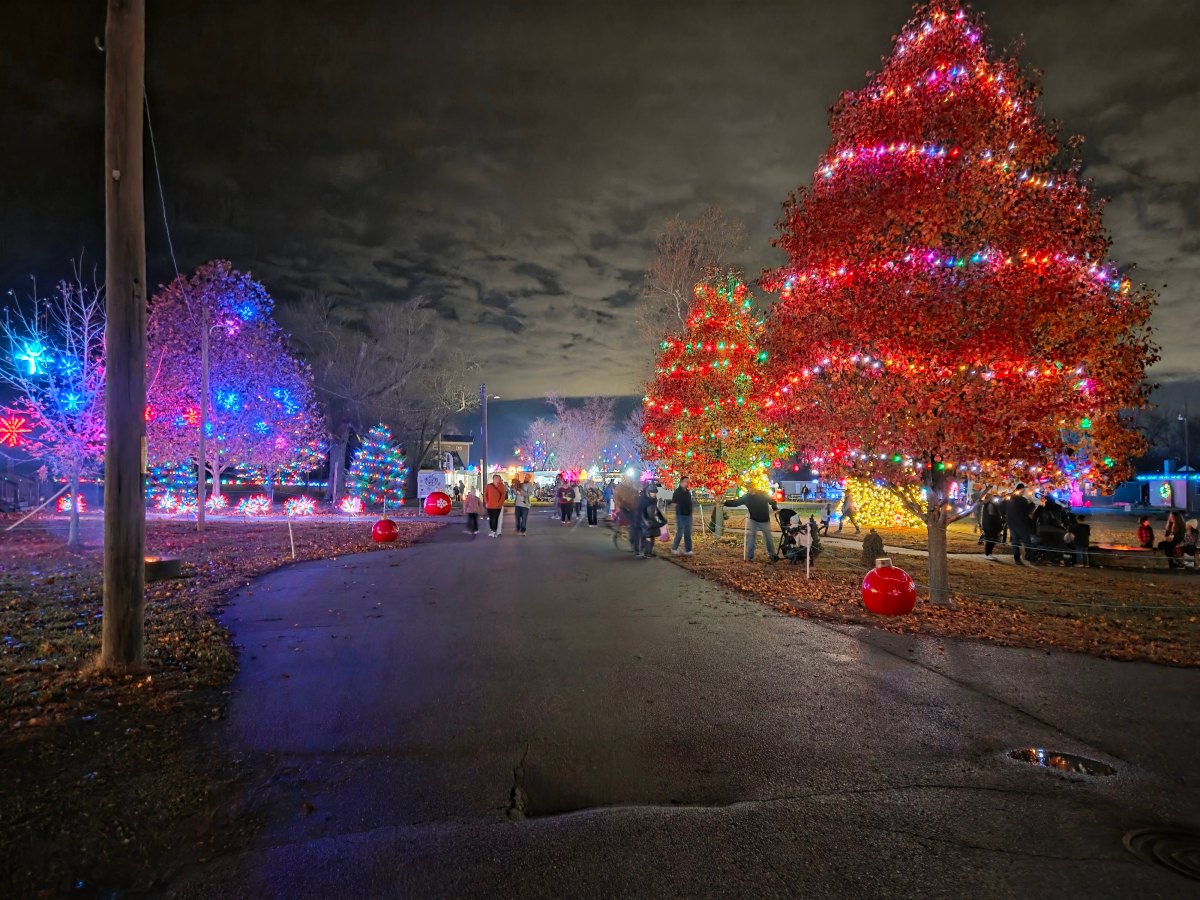 2025 Frosty Nights Christmas Village at Falconwood&nbsp;Park