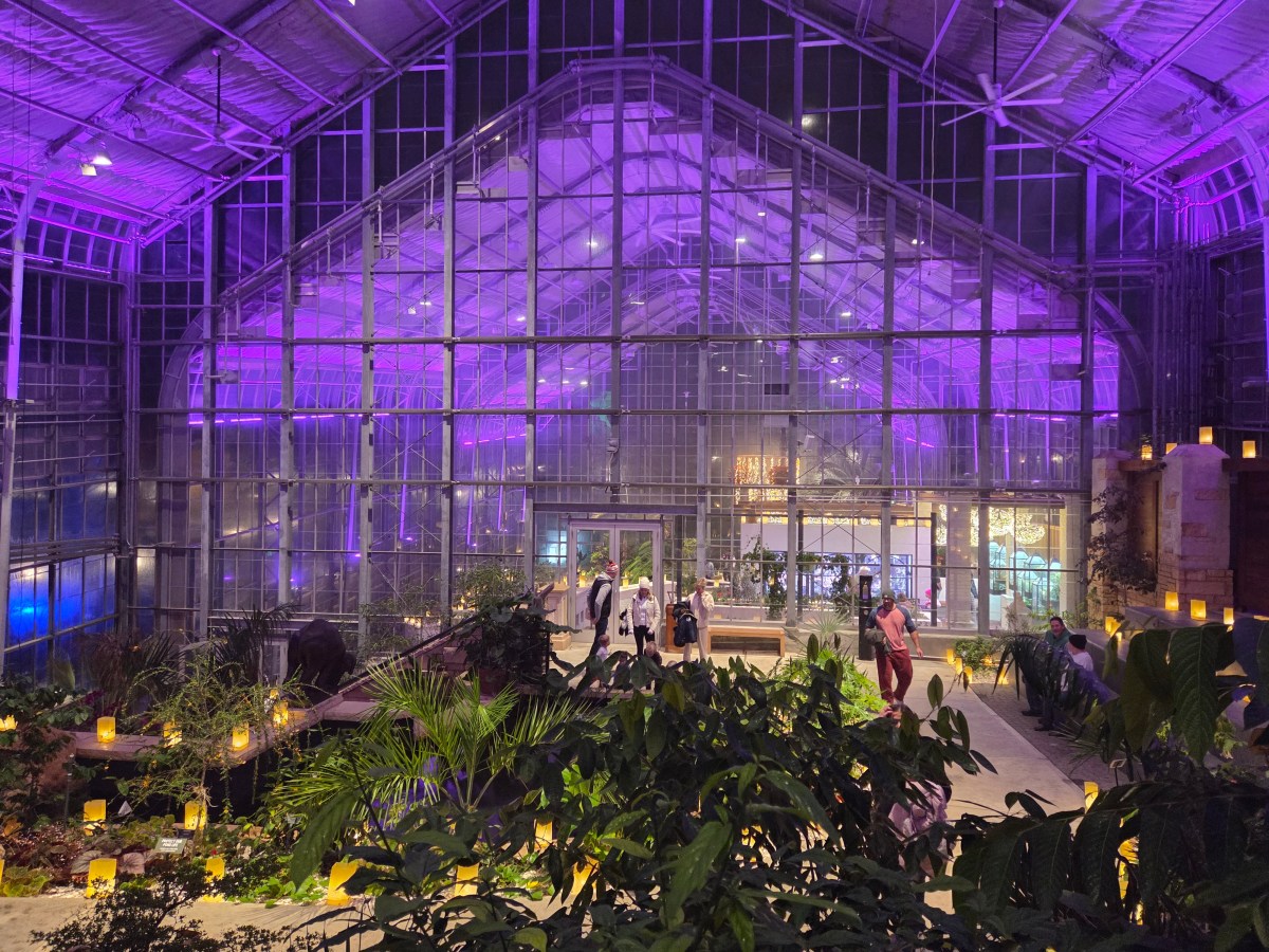 2025 Bright Nights at Lauritzen&nbsp;Gardens