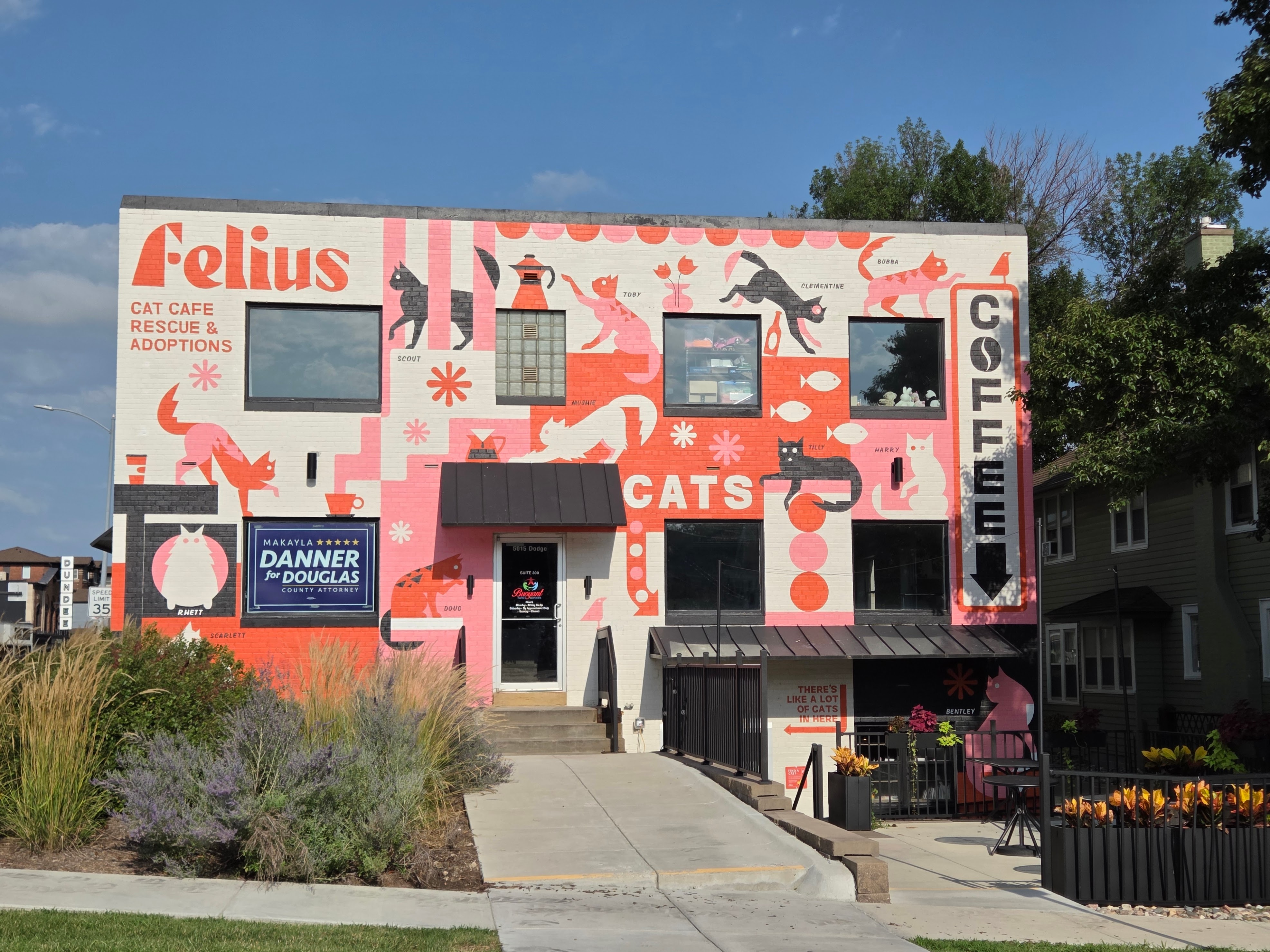 Inside Felius Cat Cafe: Coffee and Cats in Dundee